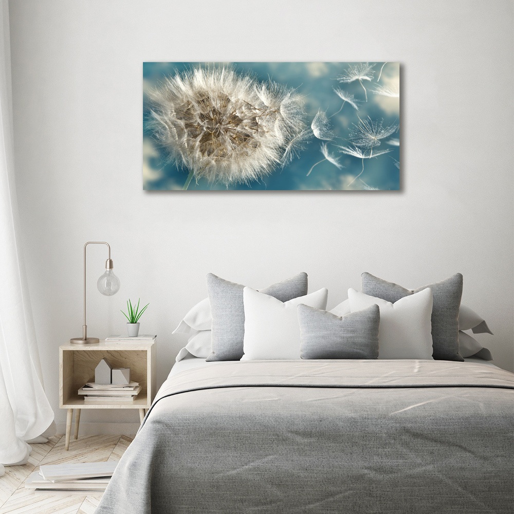 Foto obraz canvas Dmuchawce
