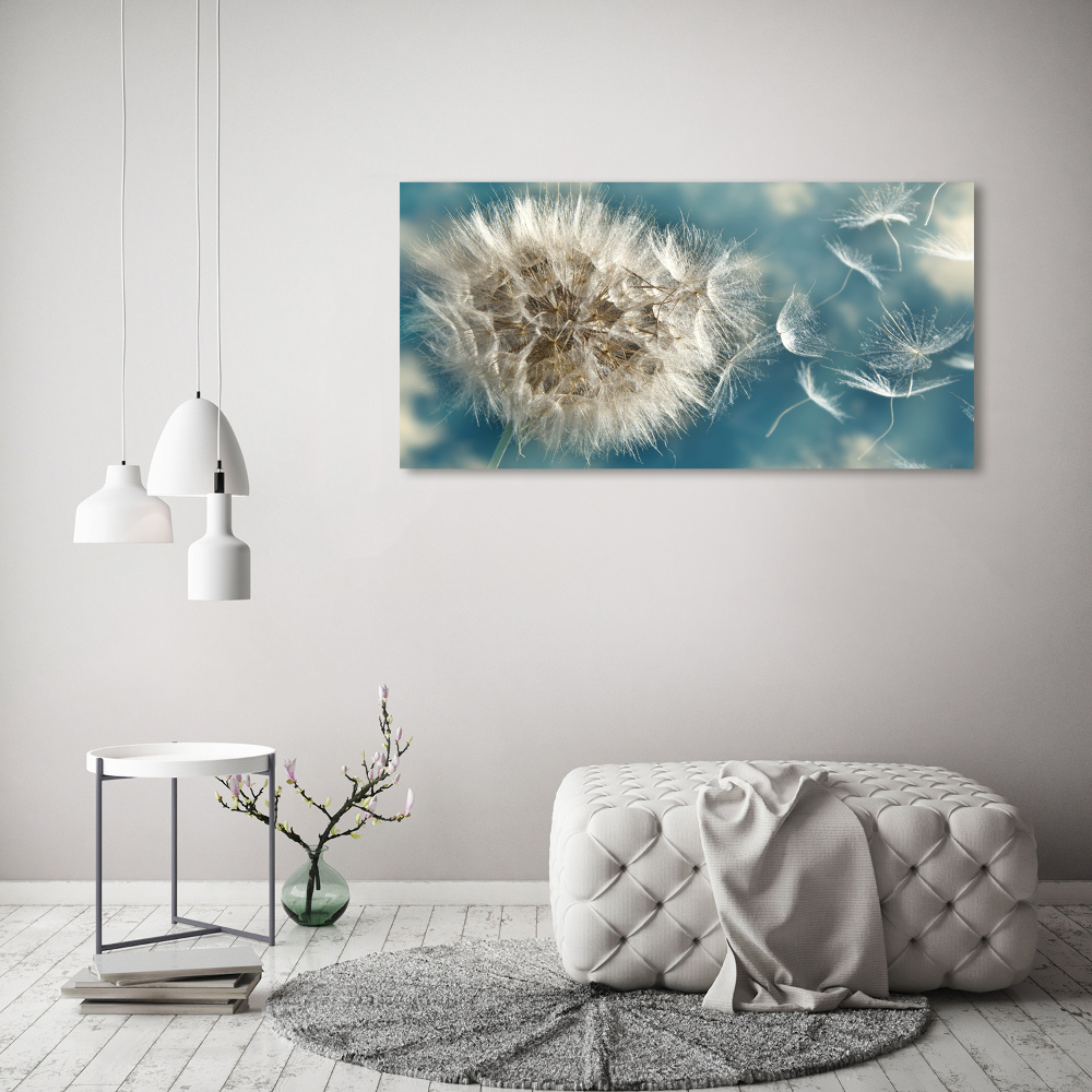 Foto obraz canvas Dmuchawce