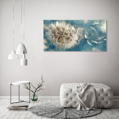 Foto obraz canvas Dmuchawce