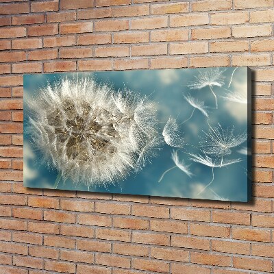 Foto obraz canvas Dmuchawce