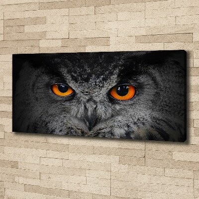Foto obraz canvas Diabelskie oczy sowy