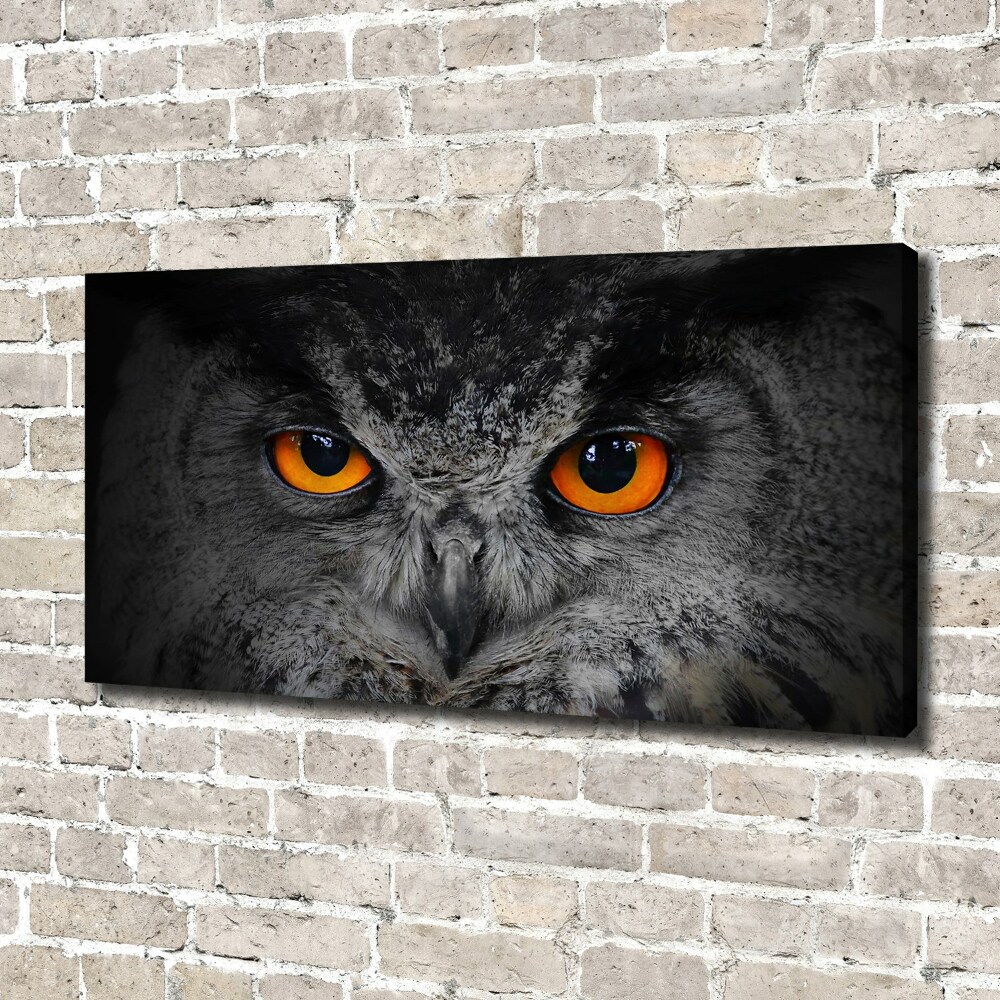 Foto obraz canvas Diabelskie oczy sowy