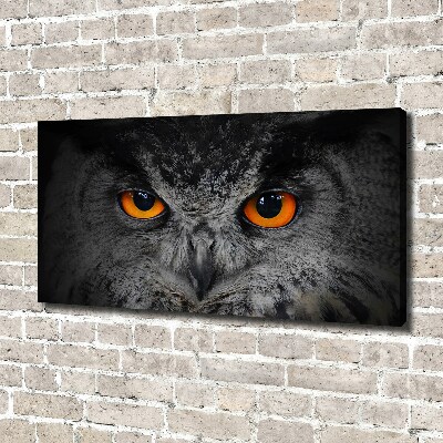 Foto obraz canvas Diabelskie oczy sowy