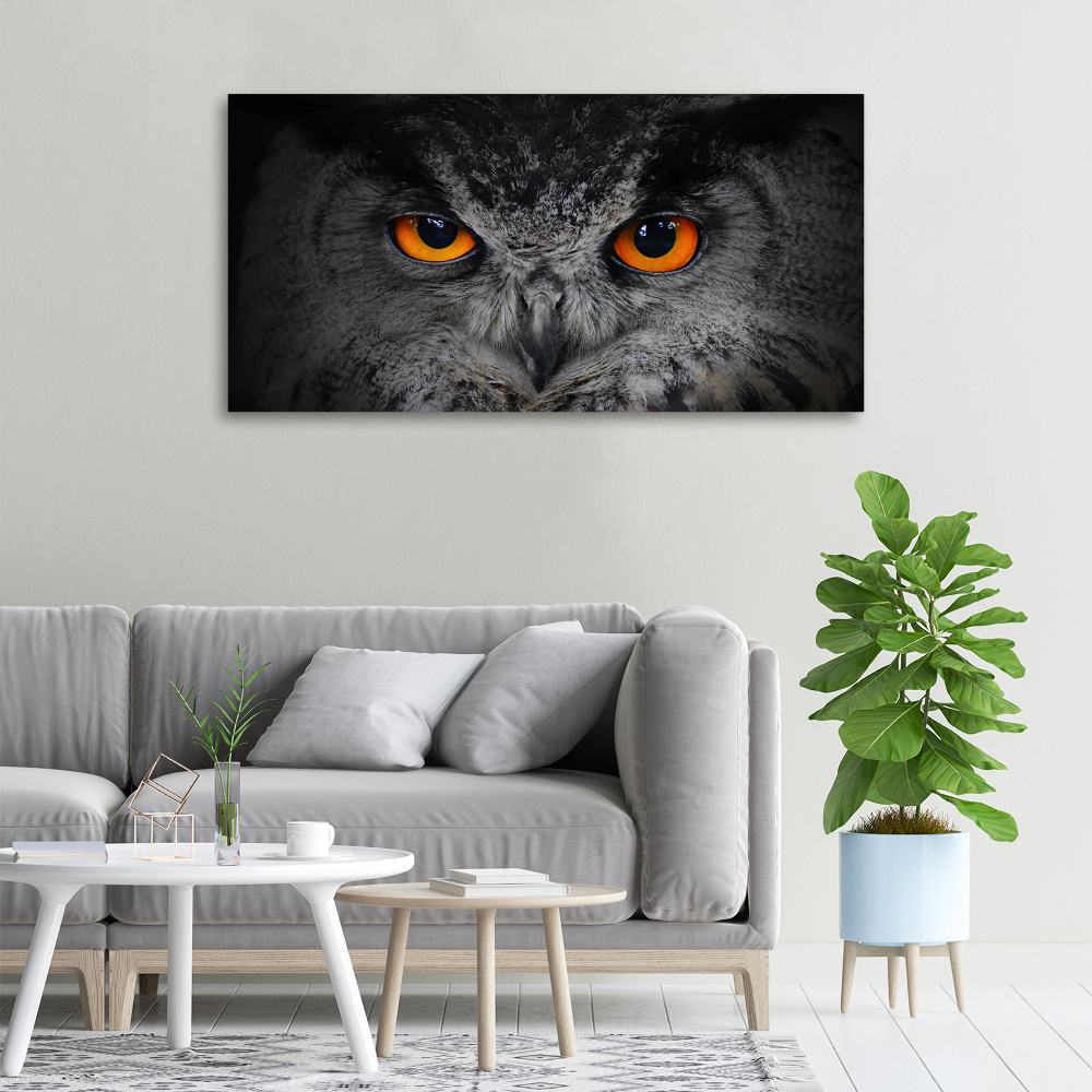 Foto obraz canvas Diabelskie oczy sowy