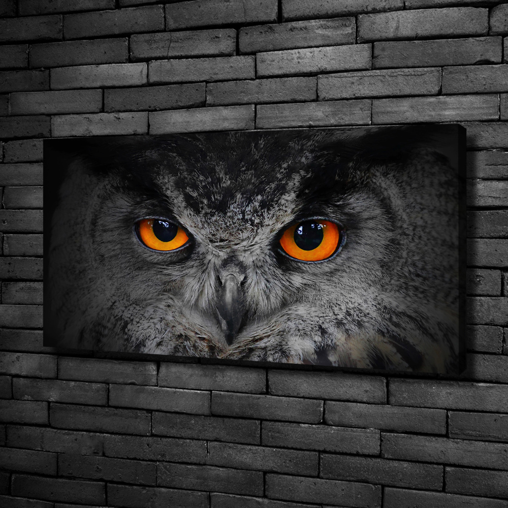 Foto obraz canvas Diabelskie oczy sowy