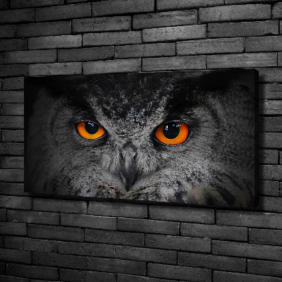 Foto obraz canvas Diabelskie oczy sowy