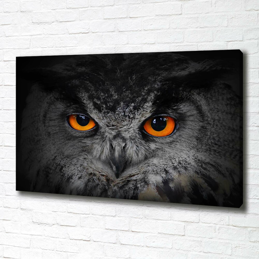 Foto obraz canvas Diabelskie oczy sowy