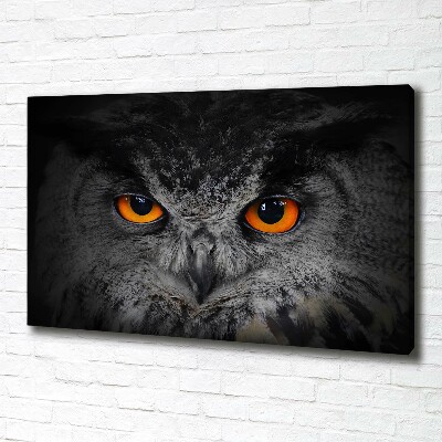 Foto obraz canvas Diabelskie oczy sowy