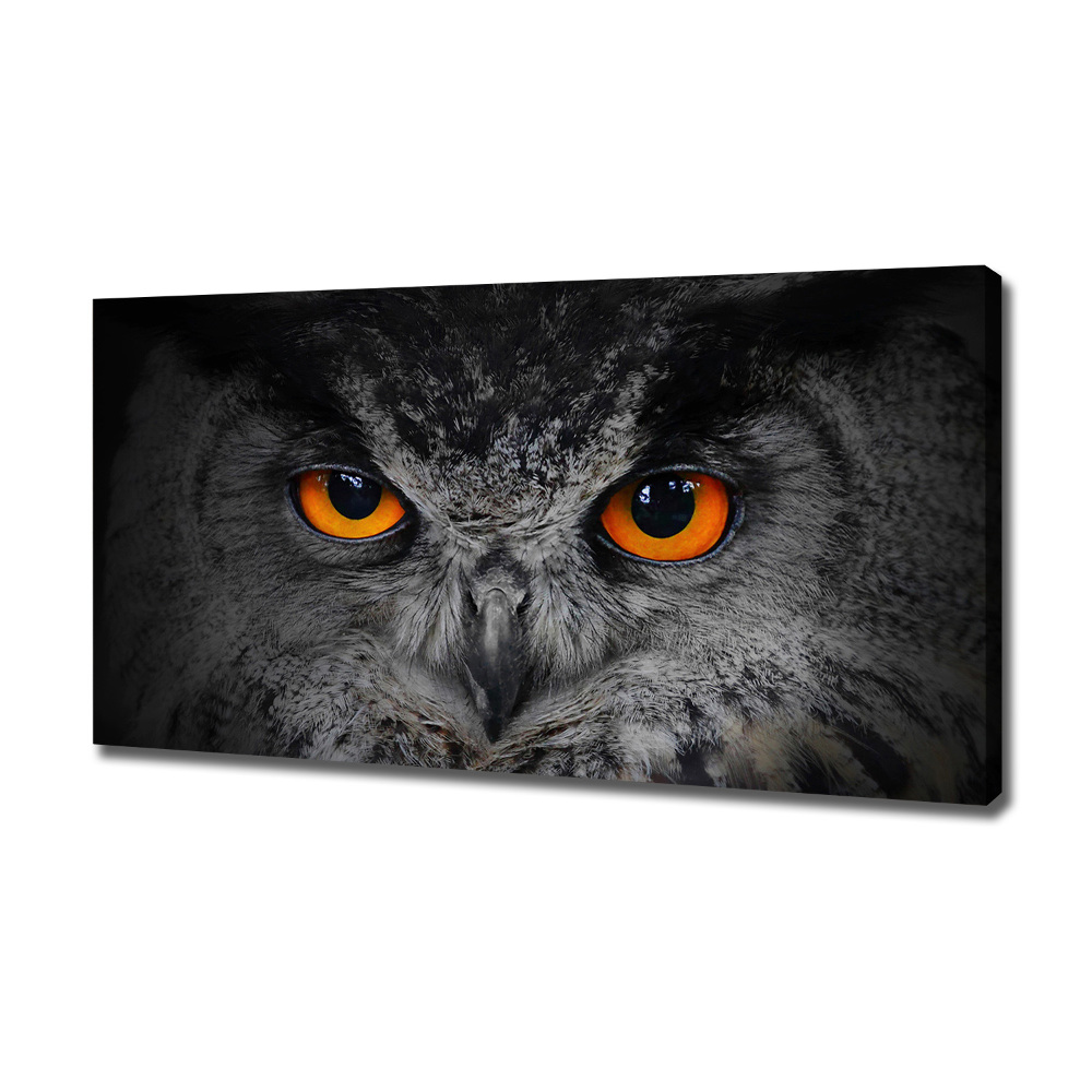 Foto obraz canvas Diabelskie oczy sowy