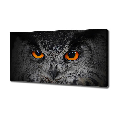 Foto obraz canvas Diabelskie oczy sowy