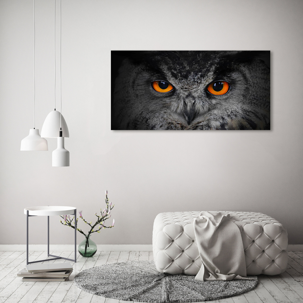 Foto obraz canvas Diabelskie oczy sowy