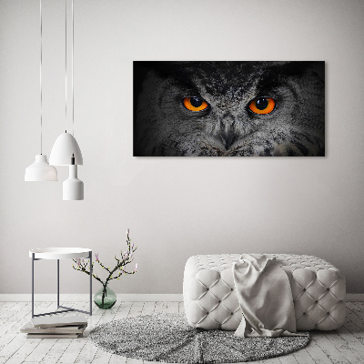 Foto obraz canvas Diabelskie oczy sowy