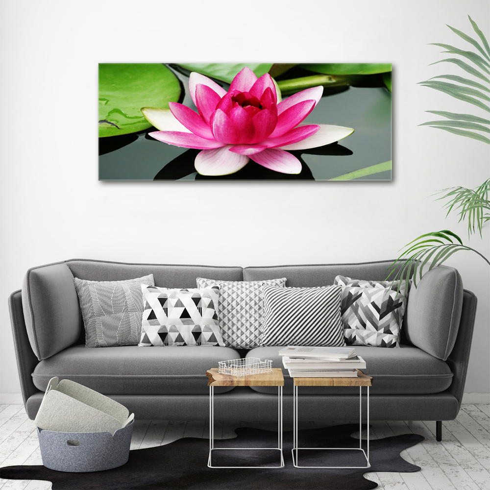 Foto obraz canvas Lilia wodna