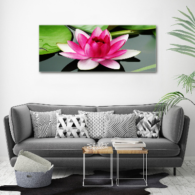 Foto obraz canvas Lilia wodna