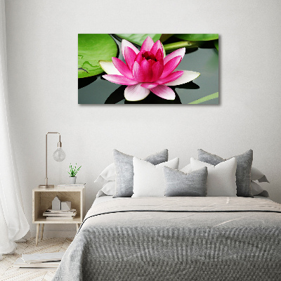 Foto obraz canvas Lilia wodna