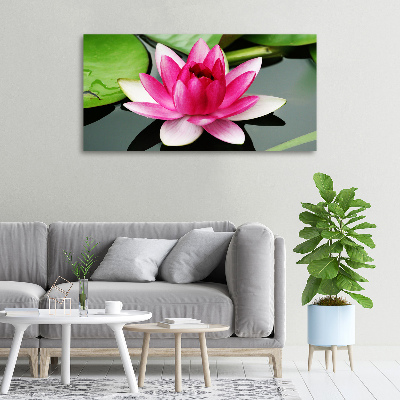 Foto obraz canvas Lilia wodna