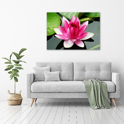 Foto obraz canvas Lilia wodna