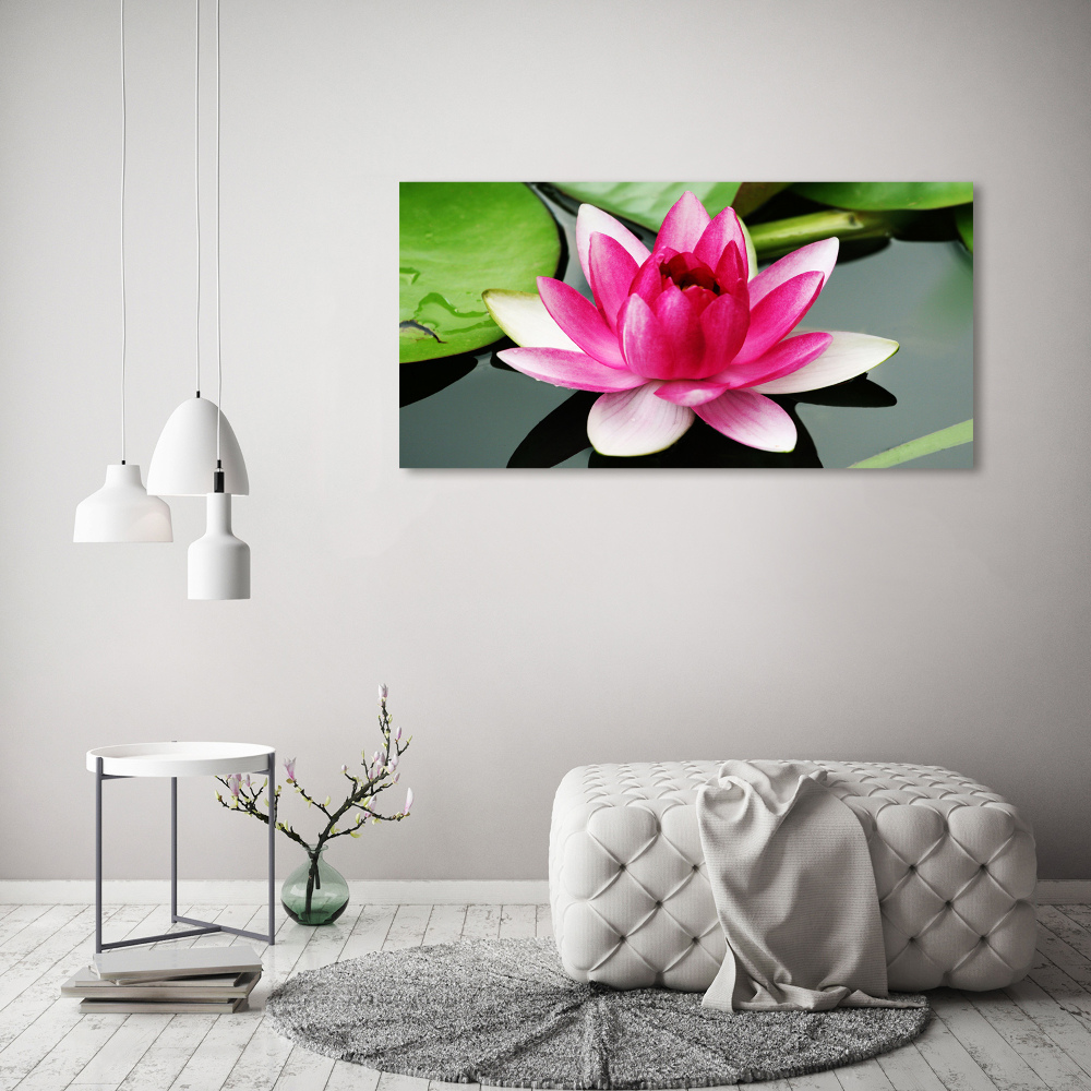 Foto obraz canvas Lilia wodna