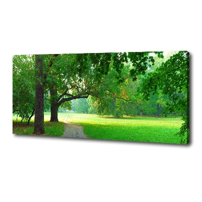 Foto obraz na płótnie Park jesienią