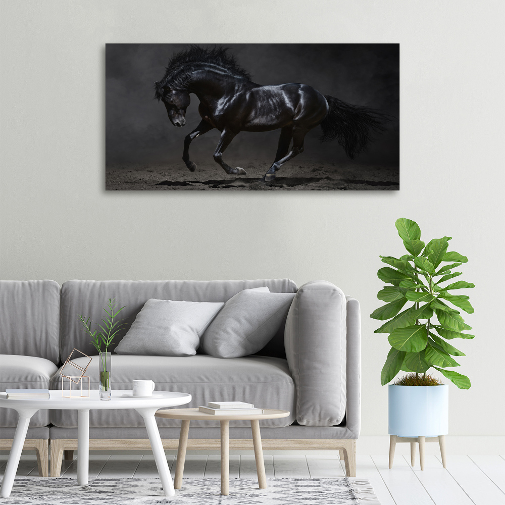 Foto obraz canvas Czarny koń