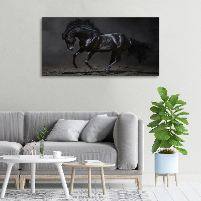 Foto obraz canvas Czarny koń