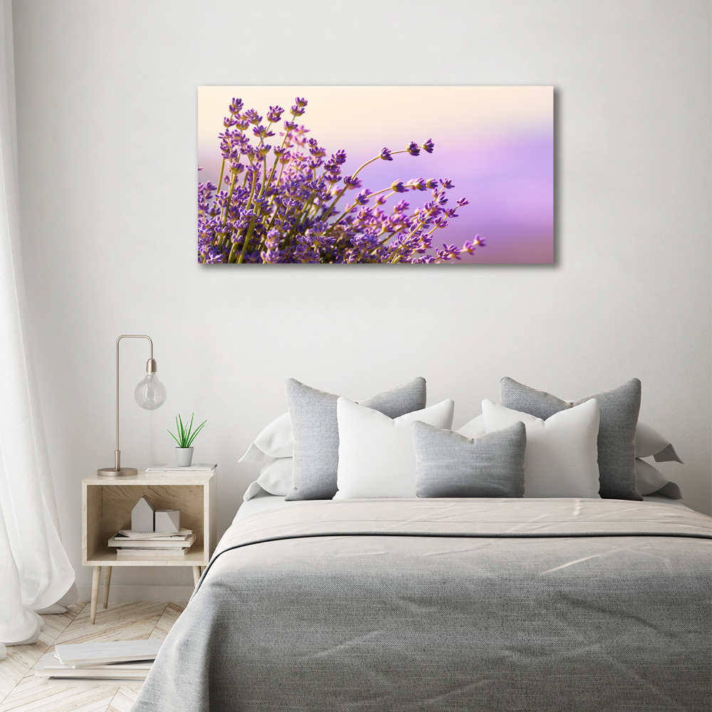 Foto obraz canvas Lawenda