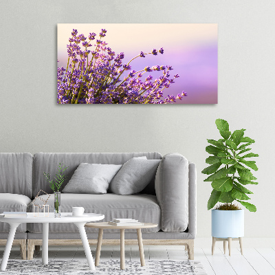 Foto obraz canvas Lawenda