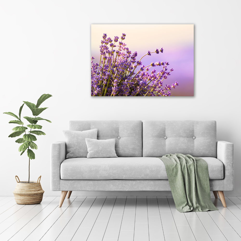 Foto obraz canvas Lawenda