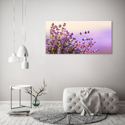 Foto obraz canvas Lawenda