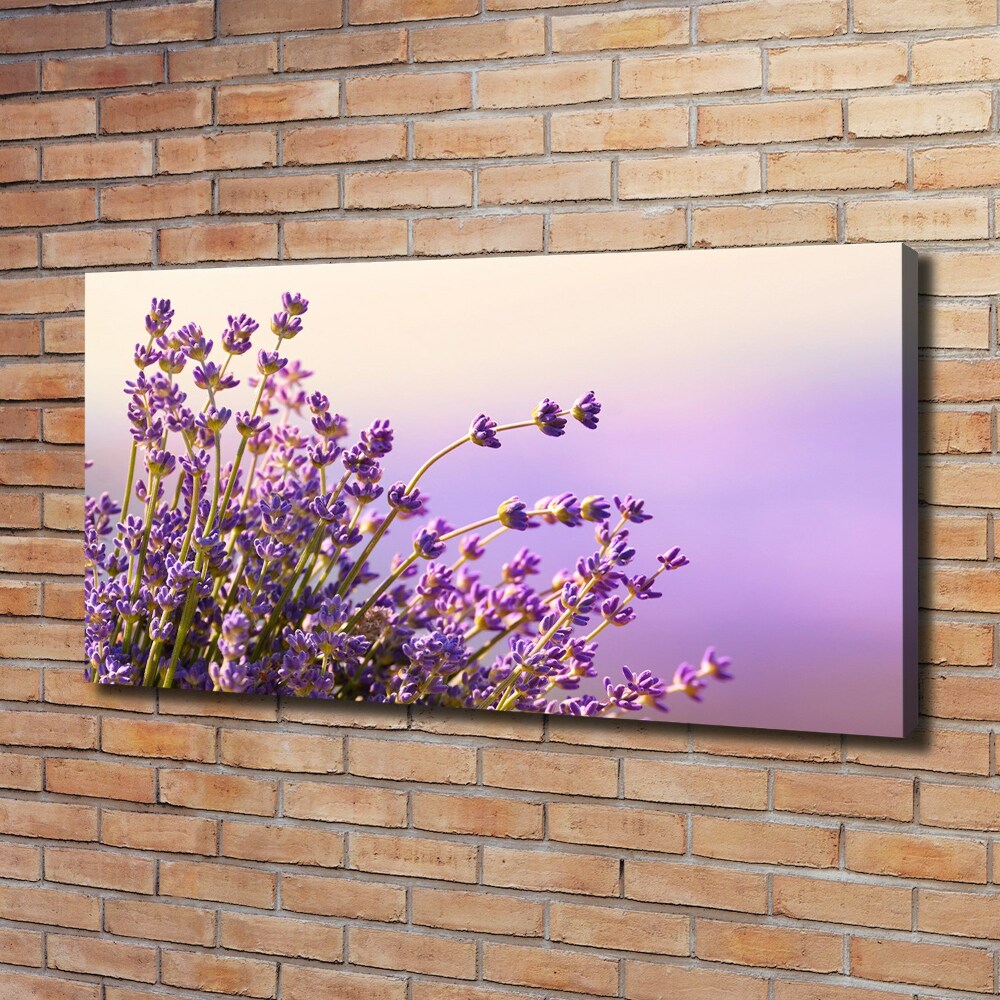 Foto obraz canvas Lawenda