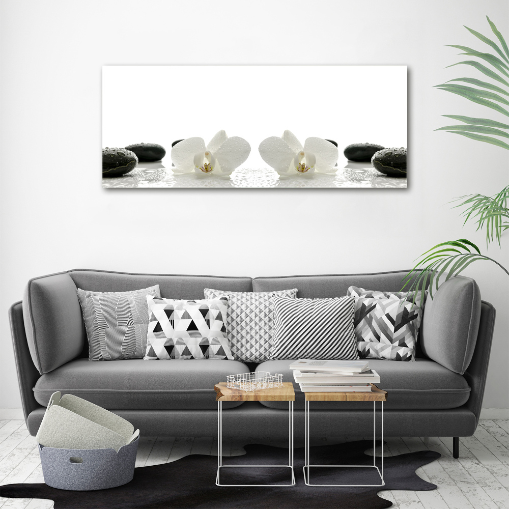 Foto obraz canvas Orchidea