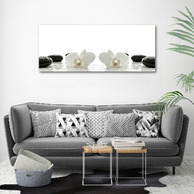 Foto obraz canvas Orchidea
