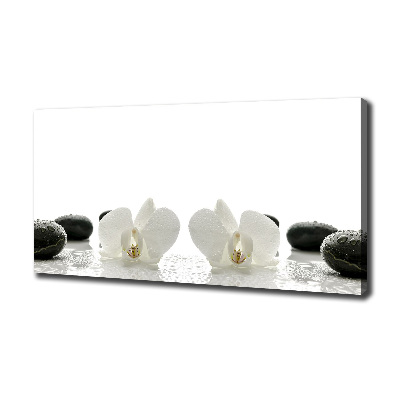 Foto obraz canvas Orchidea