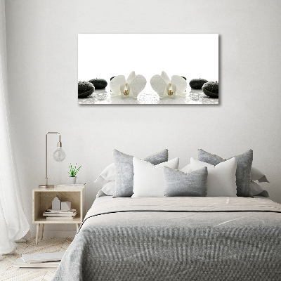 Foto obraz canvas Orchidea