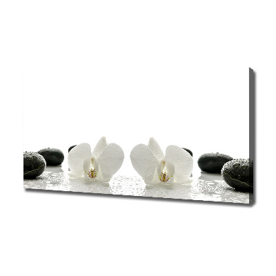 Foto obraz canvas Orchidea