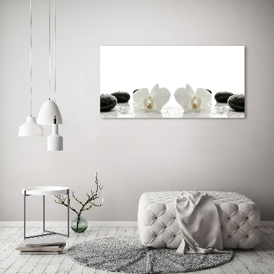 Foto obraz canvas Orchidea