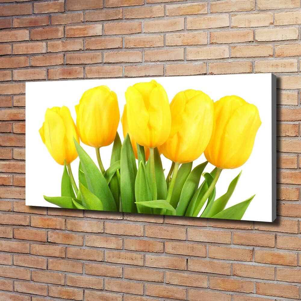 Foto obraz na płótnie Żółte tulipany