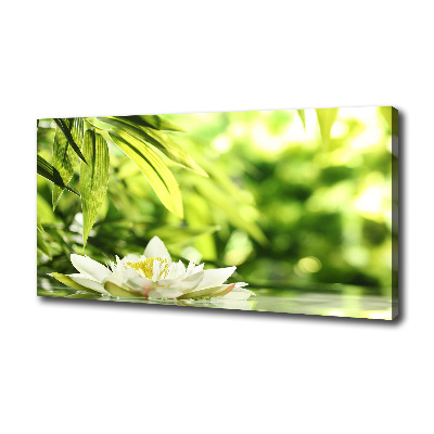 Foto obraz canvas Lilia wodna