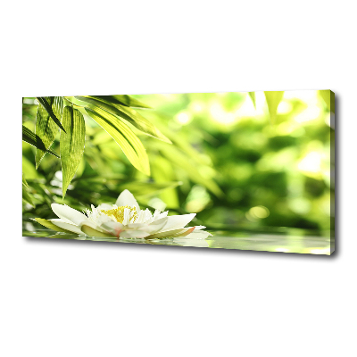 Foto obraz canvas Lilia wodna