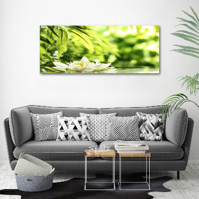 Foto obraz canvas Lilia wodna