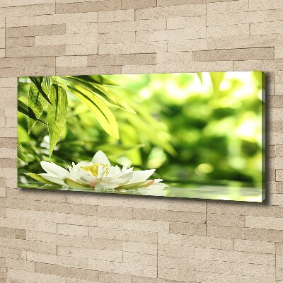 Foto obraz canvas Lilia wodna