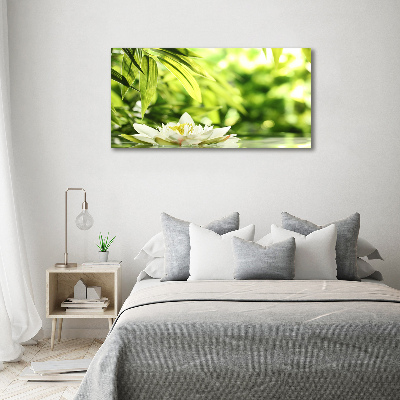 Foto obraz canvas Lilia wodna