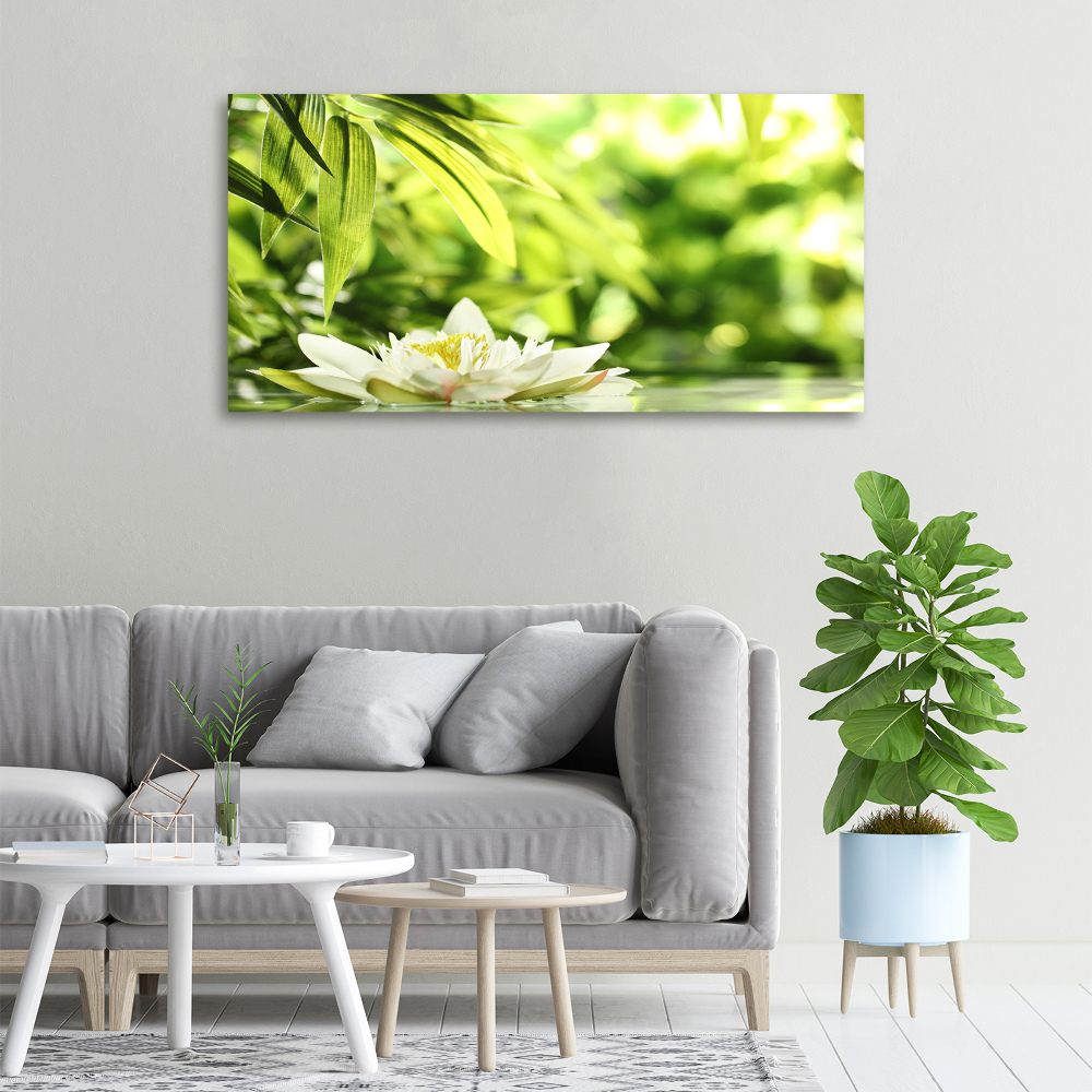 Foto obraz canvas Lilia wodna