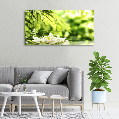 Foto obraz canvas Lilia wodna