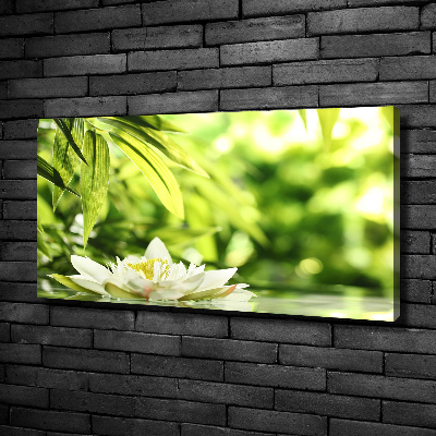 Foto obraz canvas Lilia wodna