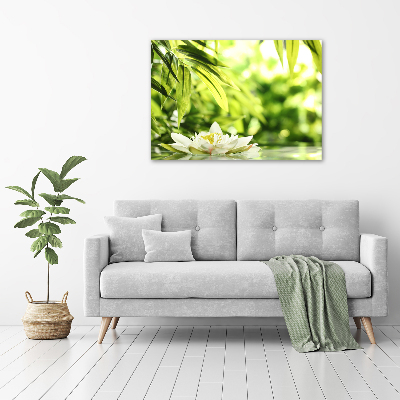 Foto obraz canvas Lilia wodna