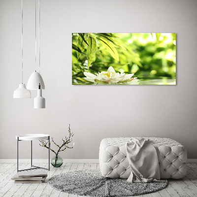 Foto obraz canvas Lilia wodna