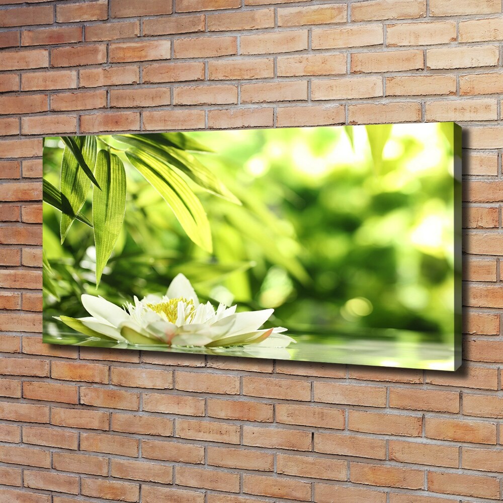 Foto obraz canvas Lilia wodna
