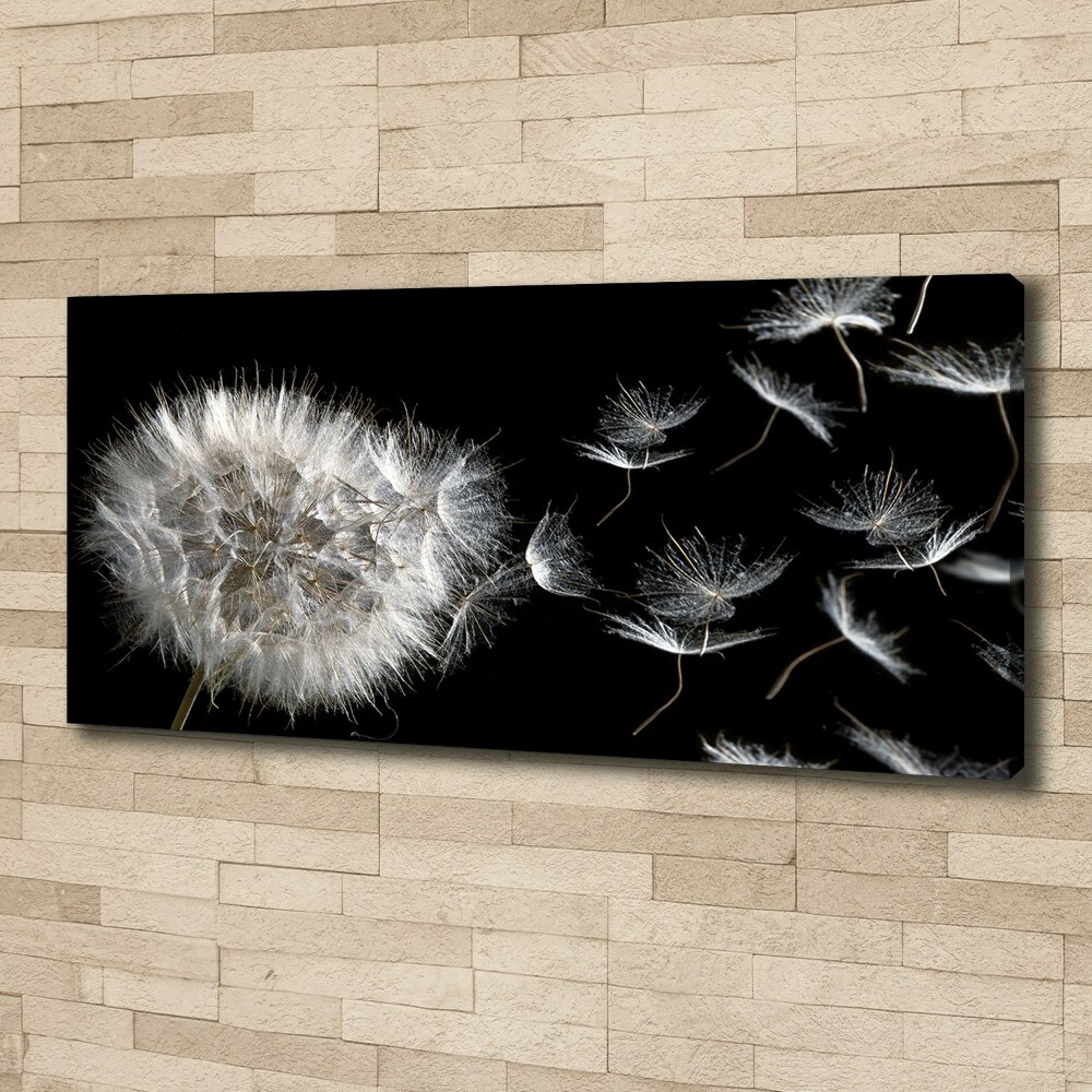 Foto obraz canvas Dmuchawiec