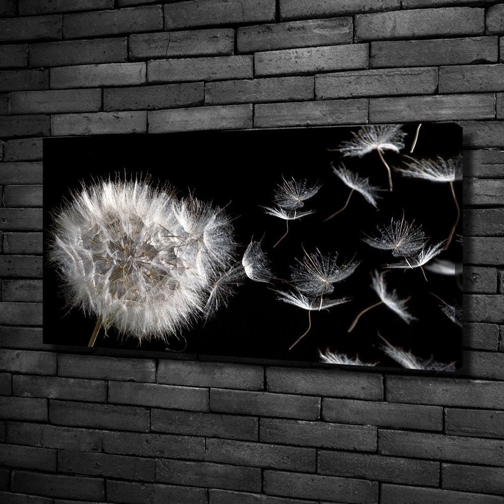 Foto obraz canvas Dmuchawiec